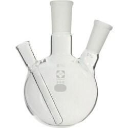 005320-24300 [SIBATA 共通二口フラスコ 24-19 300ml]