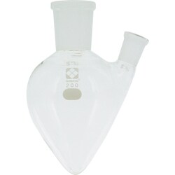 005420-29200 [SIBATA 共通二口フラスコ無 29-15 200ml]