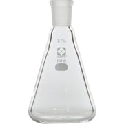 005510-15100 [SIBATA 共通三角フラスコ 15/25 100ml]
