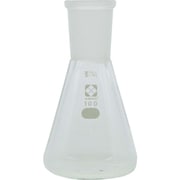 005510-24100 [SIBATA 共通三角フラスコ 24/40 100ml]