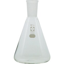 005510-24300 [SIBATA 共通三角フラスコ 24/40 300ml]
