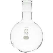 030100-24300 [SIBATA SPC丸底フラスコ 24 300ml]