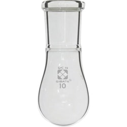 030120-1910 [SIBATA SPCなすフラスコ 19 10ml]