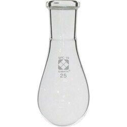 030120-1925 [SIBATA SPCなすフラスコ 19 25ml]