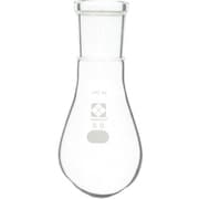 030120-2450 [SIBATA SPCなすフラスコ 24 50ml]