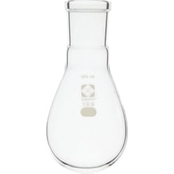 030120-29100 [SIBATA SPCなすフラスコ 29 100ml]