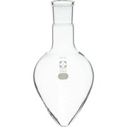 030130-29300 [SIBATA SPC梨型フラスコ 29 300ml]