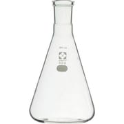 030150-24300 [SIBATA SPC三角フラスコ 24 300ml]