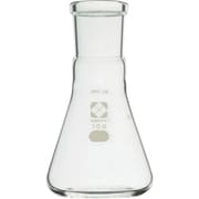 030150-29100 [SIBATA SPC三角フラスコ 29 100ml]