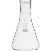 030150-29200 [SIBATA SPC三角フラスコ 29 200ml]