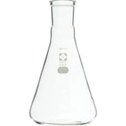 030150-29300 [SIBATA SPC三角フラスコ 29 300ml]