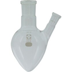 030160-29200 [SIBATA SPC二口フラスコ梨 29 200ml]