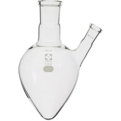 030160-29300 [SIBATA SPC二口フラスコ梨 29 300ml]