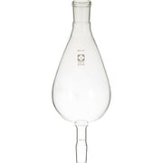 030210-24250 [SIBATA SPC濃縮フラスコ 250ml 24-19]