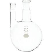031100-24500 [SIBATA SPC二口フラスコ 24 500ml]