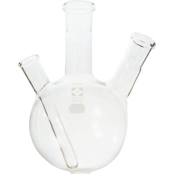 031120-24300 [SIBATA SPC二口フラスコ 24-19 300ml]
