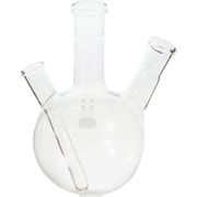 031120-24300 [SIBATA SPC二口フラスコ 24-19 300ml]
