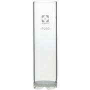 043120-0231 [SIBATA ガラスろ過板付抽出円筒 P250]