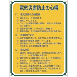 050110 [緑十字 安全・心得標識 電気災害防止の心得 600×450mm エンビ]