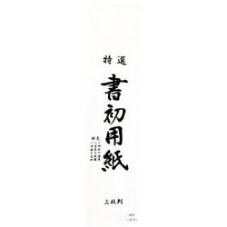 書初用紙 三枚判 10枚入 KZ-181