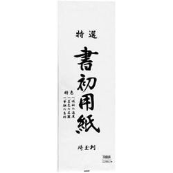書初用紙 埼玉判 10枚入 KZ-179