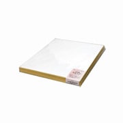 大色紙 奉書 10枚パック SK-761