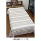 日用雑貨品 ISAP0668 パハルBC S BROWN チャイハネ