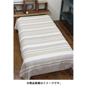 ISAP0668 パハルBC S BROWN チャイハネ [日用雑貨品]