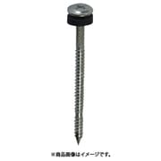 10174356 [ダイドーハント VP ステンレス瓦用パワープラスビス OP付 4x75 約20本]