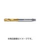 プロトティップ マシンタップ 2051315-M10
