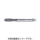 プロトティップ マシンタップ 2141663-M6X0.75