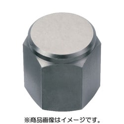 HALDER レストボタン メネジ付、平面 22690.0301