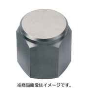 HALDER レストボタン メネジ付、平面 22690.0365