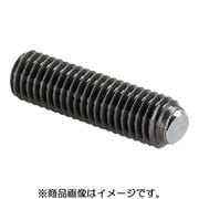 HALDER セッティングスクリュー ヘッド無セレーション無 22700.0603
