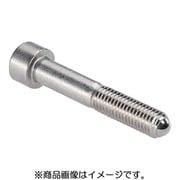HALDER セッティングスクリュー ヘッド付、完全ボール付 ステンレス鋼 22710.0756