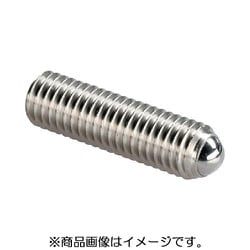 HALDER セッティングスクリュー 完全ボール付 ステンレス鋼 22720.0804