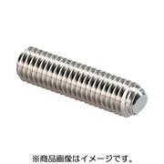 HALDER セッティングスクリュー 面取りボール付 ステンレス鋼 22720.0852