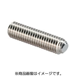 HALDER セッティングスクリュー 面取りボール付 ステンレス鋼 22720.0876