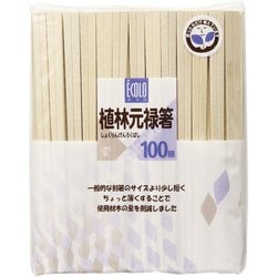 エコロ植林元禄箸裸 100膳 VI-013