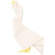 プッチペット グース peti peto