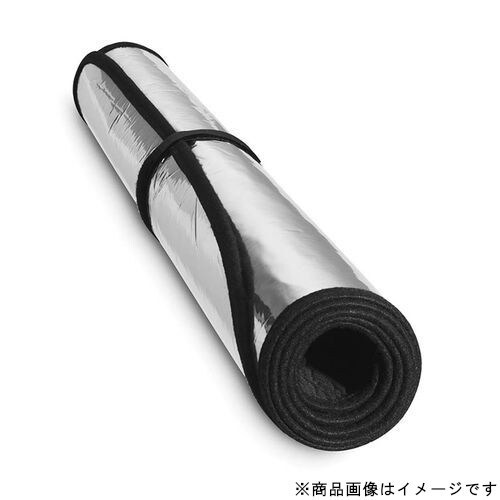 TS0962 [テックシェード レクサス NX AGZ10/15用]