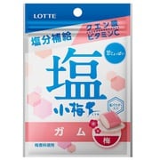 限定 塩小梅ガム 27g