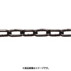 2AB [水本 ステンレス 高級ミニチェーン ブラック15m 線径2mm 1本]