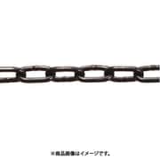 2AB [水本 ステンレス 高級ミニチェーン ブラック15m 線径2mm 1本]