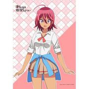 ぼくたちは勉強ができない B2タペストリー うるか [キャラクターグッズ]