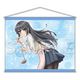青春ブタ野郎はバニーガール先輩の夢を見ない 桜島麻衣エプロンVer. B2タペストリー [キャラクターグッズ]