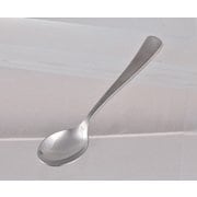 リトルリッチ スプーン 10本入 D-0306