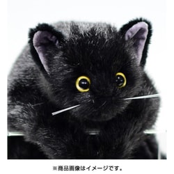 ヨドバシ.com - 童心 日本製リアルシリーズ・クロネコL 58cm