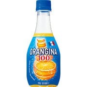 オランジーナ100 300ml×24本