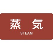 381401 [緑十字 配管識別ステッカー 蒸気 60×120mm 10枚組 アルミ 英文字入]